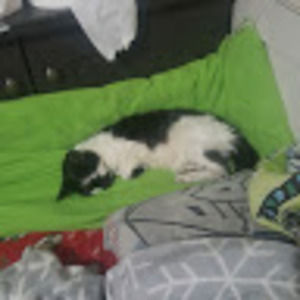 Meet your Posher, Ben